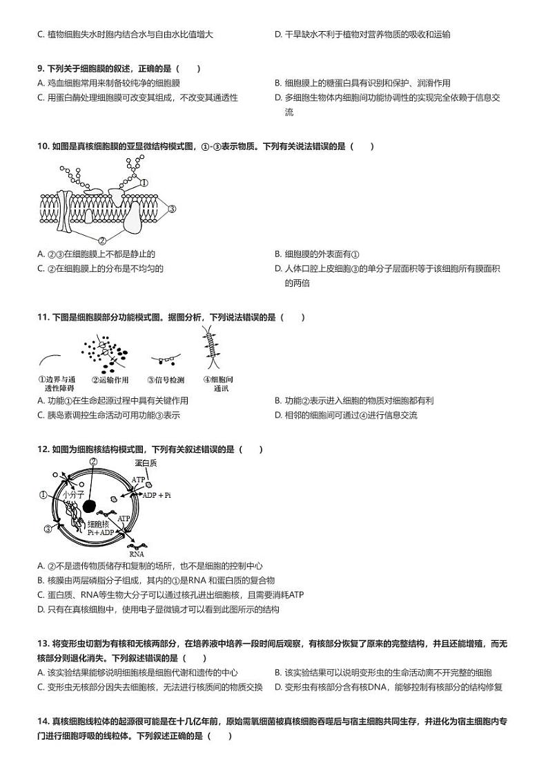 [生物]2024～2025学年9月新疆伊犁塔城地区高三上学期月考生物试卷(第一高级中学)(原题版+解析版)02