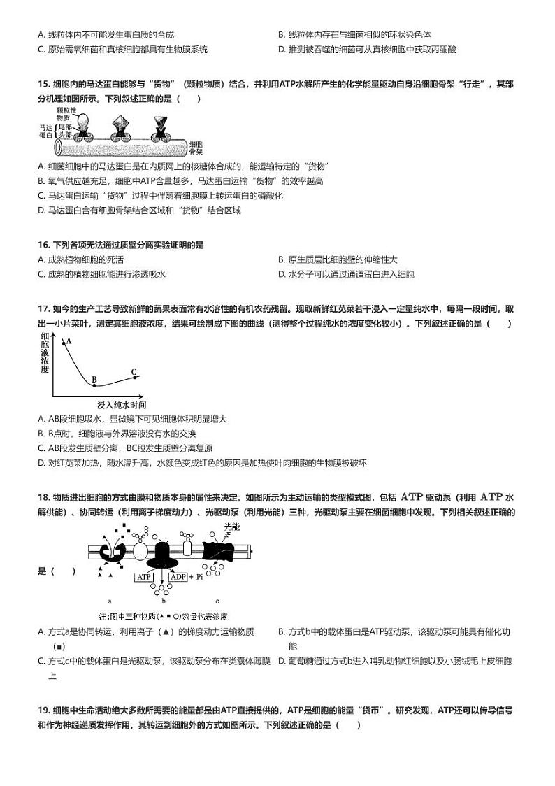 [生物]2024～2025学年9月新疆伊犁塔城地区高三上学期月考生物试卷(第一高级中学)(原题版+解析版)03