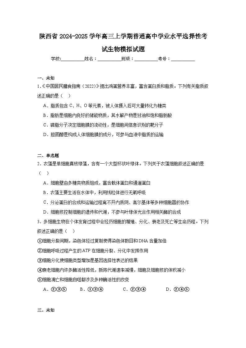 陕西省2024-2025学年高三上学期普通高中学业水平选择性考试生物模拟试题01