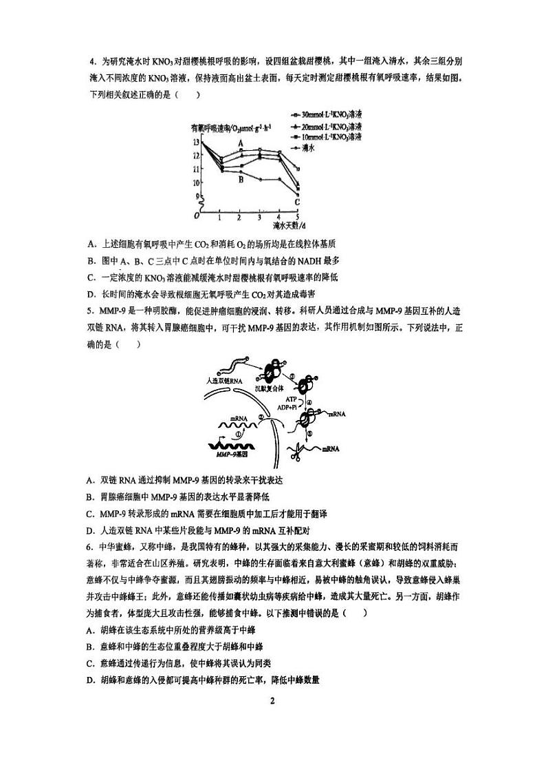 湖南省长沙市雅礼中学2024-2025学年高三上学期入学考试生物试题+答案第2页