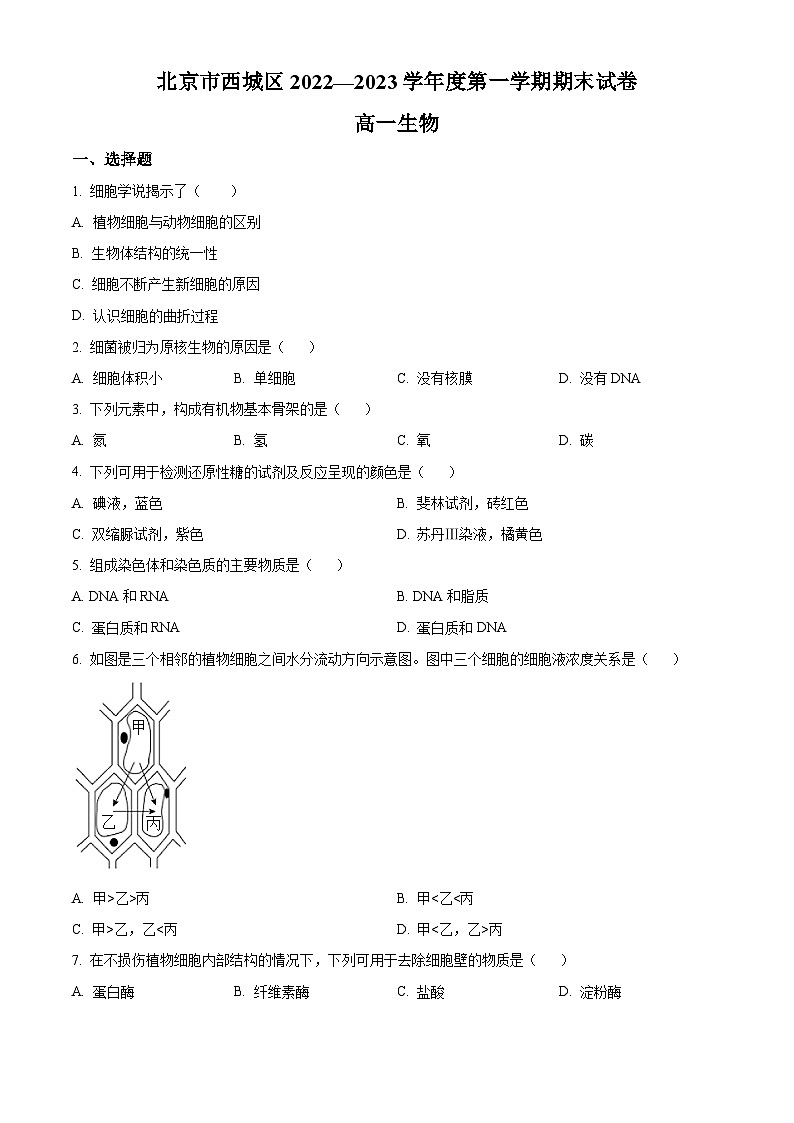北京市西城区2022-2023学年高一1月期末生物试题  Word版无答案第1页