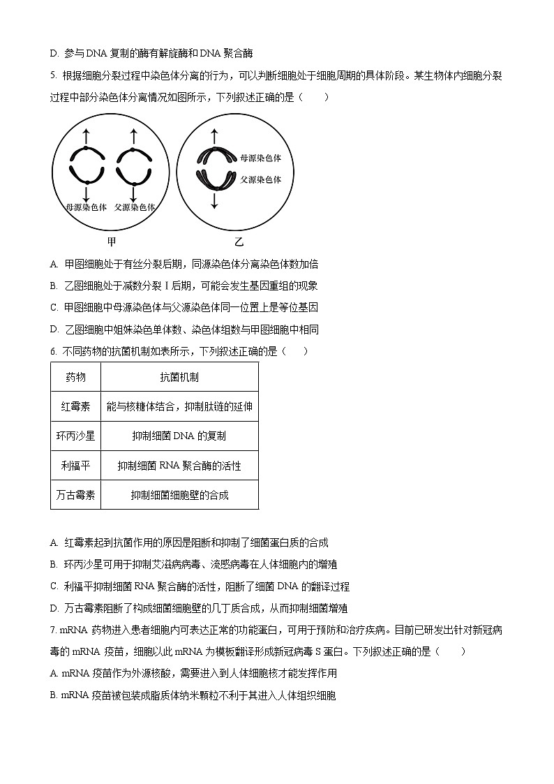 湖北省华中师范大学一附中2023～2024学年高二9月月考生物试题（原卷版）第2页