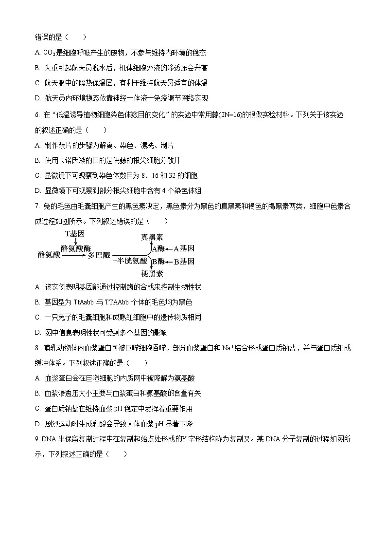 湖北省云学部分重点高中2024-2025学年高二上学期9月月考生物试题（Word版附解析）02