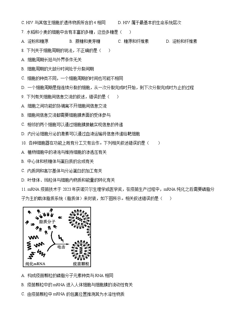 山东省济南市2023-2024学年高一上学期1月期末考试生物试题第3页