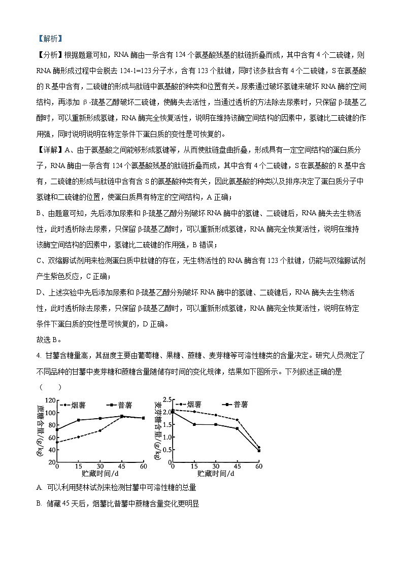 山东省日照市2025届高三上学期开学考试生物试题word版含解析第3页