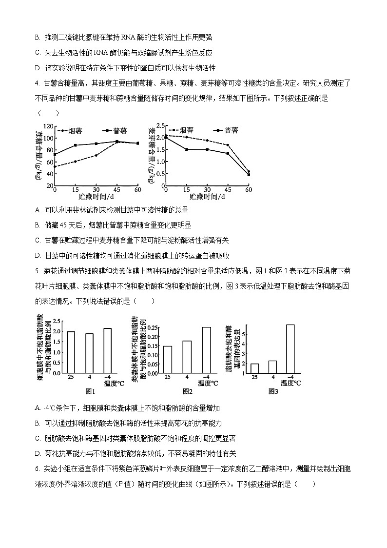 山东省日照市2025届高三上学期开学考试生物试题第2页