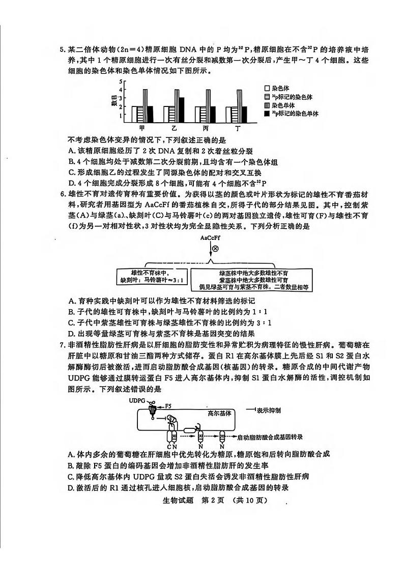 生物丨山东省济南市2025届高三九月摸底考试（暨开学考）生物试卷及答案02