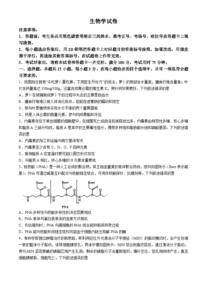 重庆市渝中区巴蜀中学校2024-2025学年高三上学期9月月考生物试题(无答案)第1页