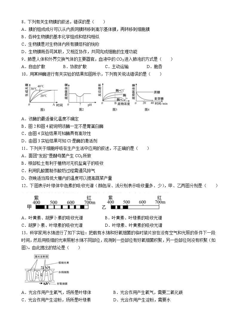 甘肃省临夏回民中学2022-2023学年高一上学期期末考试生物试题(无答案)第2页