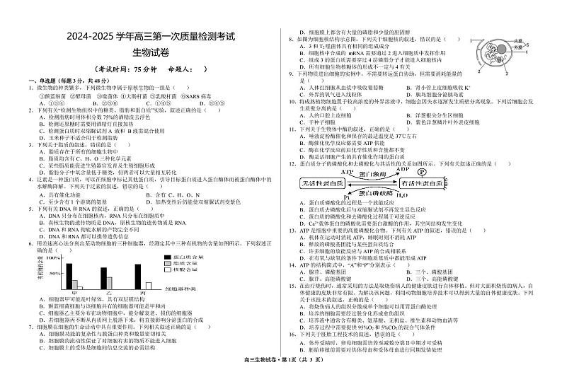 甘肃省武威市凉州区2024-2025学年高三第一次质量检测+生物第1页