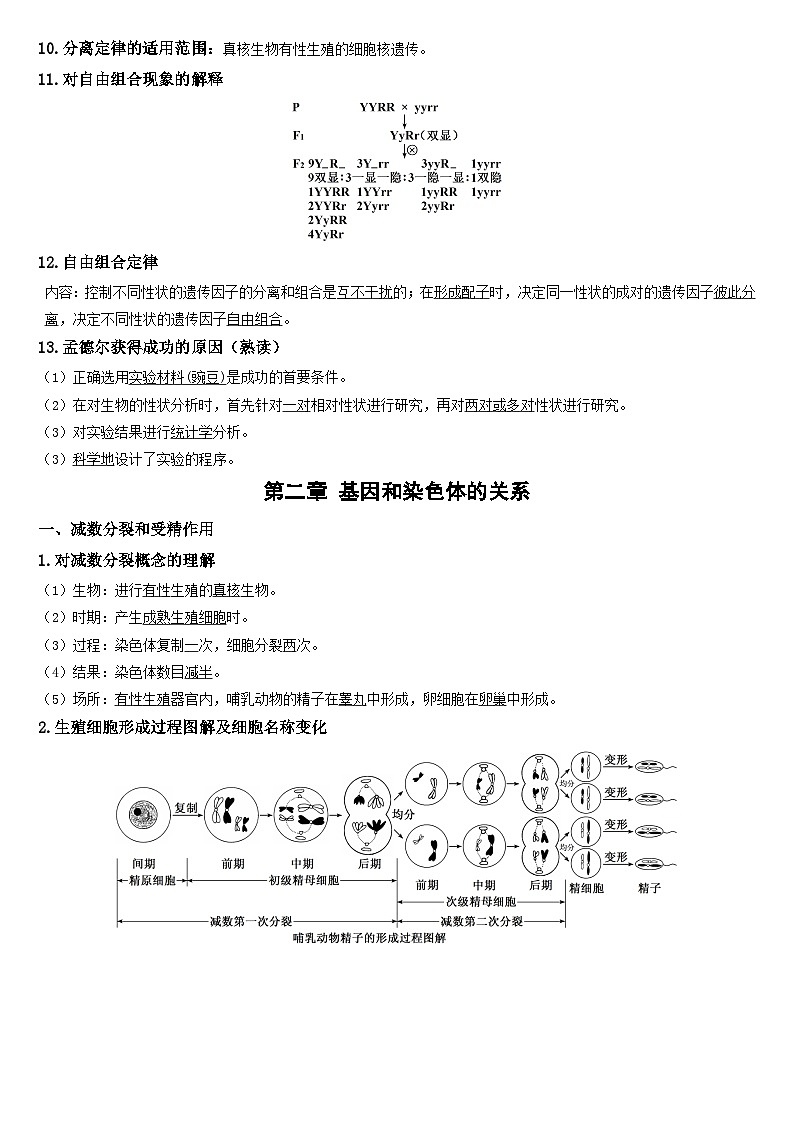 人教版（2019）高中生物必修2《遗传与进化》期末知识点复习提纲第2页