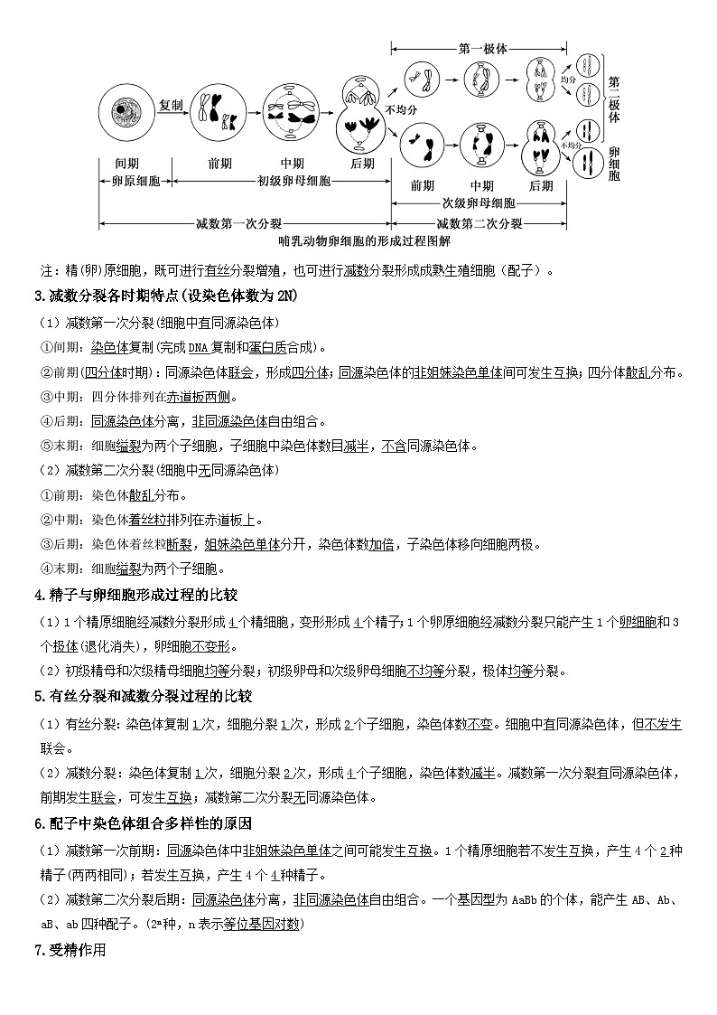 人教版（2019）高中生物必修2《遗传与进化》期末知识点复习提纲第3页