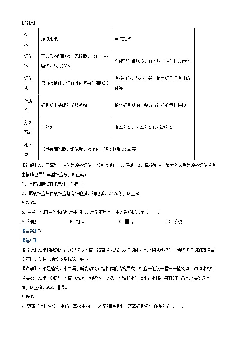河南省许昌市禹州市高级中学2024-2025学年高一上学期9月月考生物试题（解析版）第3页