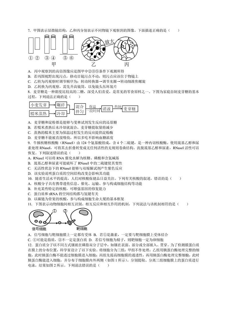 [生物]吉林省白城市洮北区白城市第一中学2024～2025学年高三上学期9月月考试题(有解析)第2页