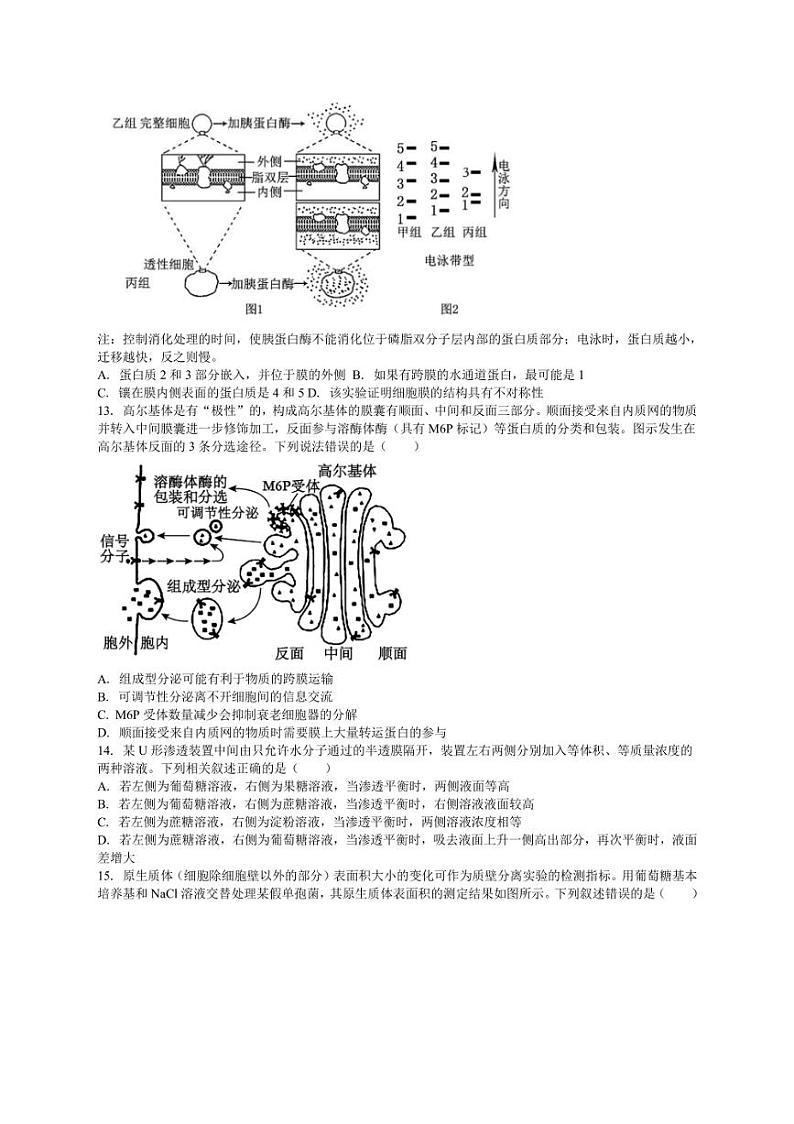 [生物]吉林省白城市洮北区白城市第一中学2024～2025学年高三上学期9月月考试题(有解析)第3页