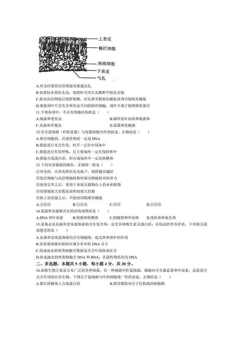 [生物]河南省许昌市禹州市高级中学2024～2025学年高一上学期9月月考试题(有答案)第2页