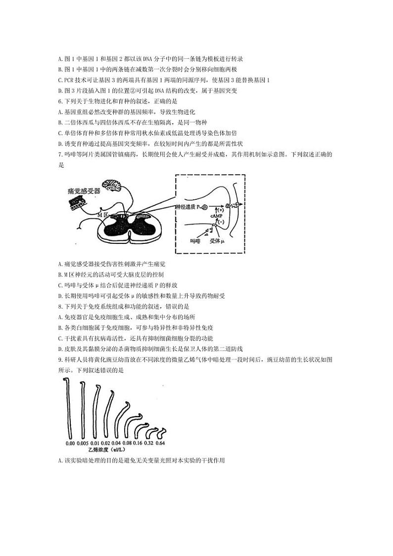 [生物]江苏省南京市2025届高三上学期学情调研9月月考考试试题(有答案)第2页