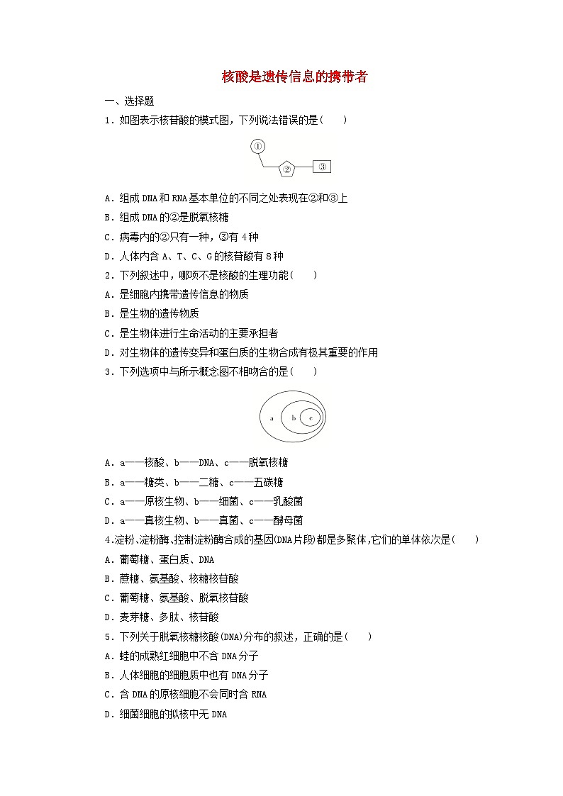 人教版高一生物必修第一册课后练习卷：核酸是遗传信息的携带者第1页