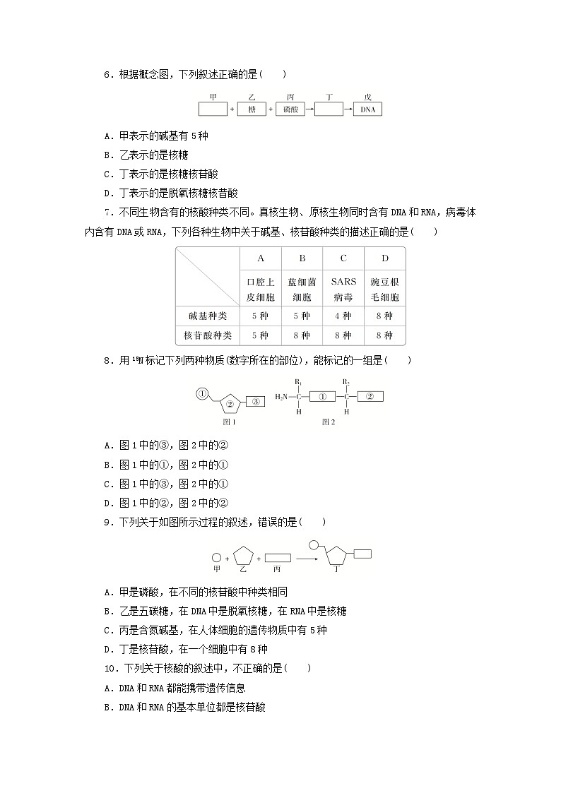 人教版高一生物必修第一册课后练习卷：核酸是遗传信息的携带者第2页