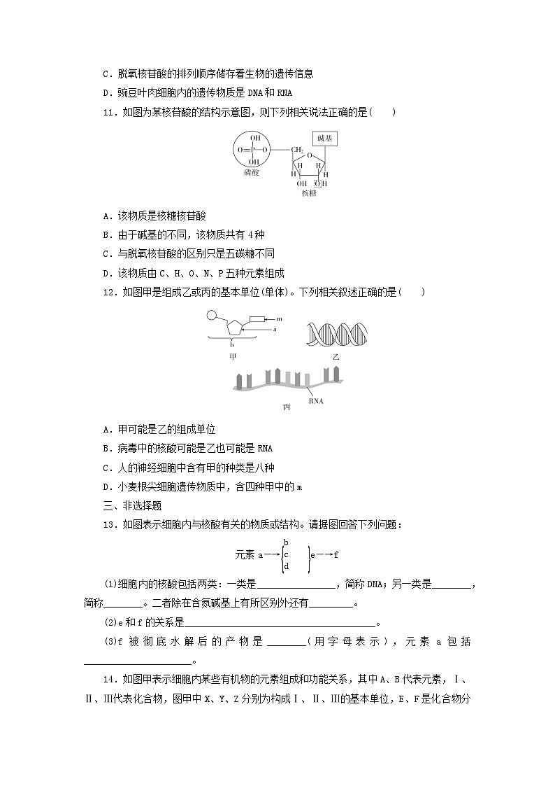 人教版高一生物必修第一册课后练习卷：核酸是遗传信息的携带者第3页