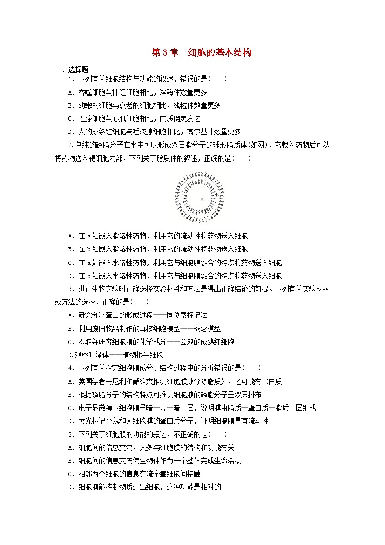 人教版高一生物必修第一册课后练习卷：第3章　细胞的基本结构01