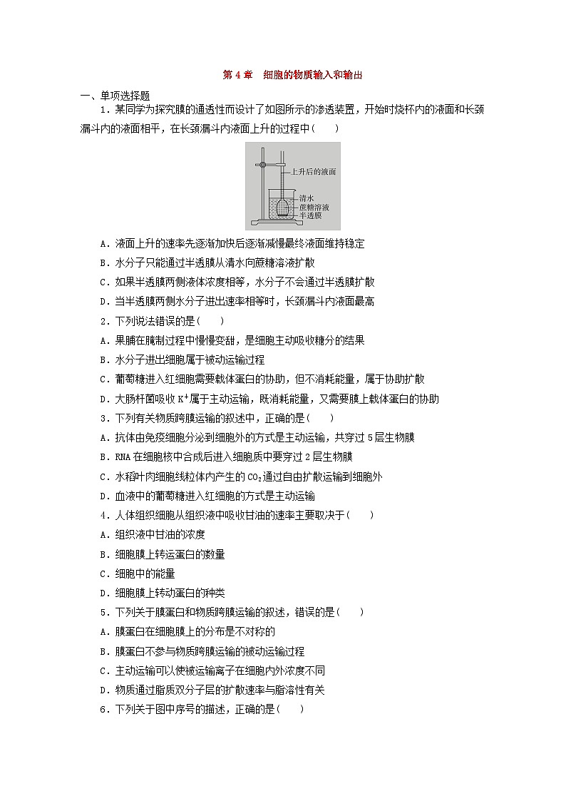 人教版高一生物必修第一册课后练习卷：第4章　细胞的物质输入和输出01