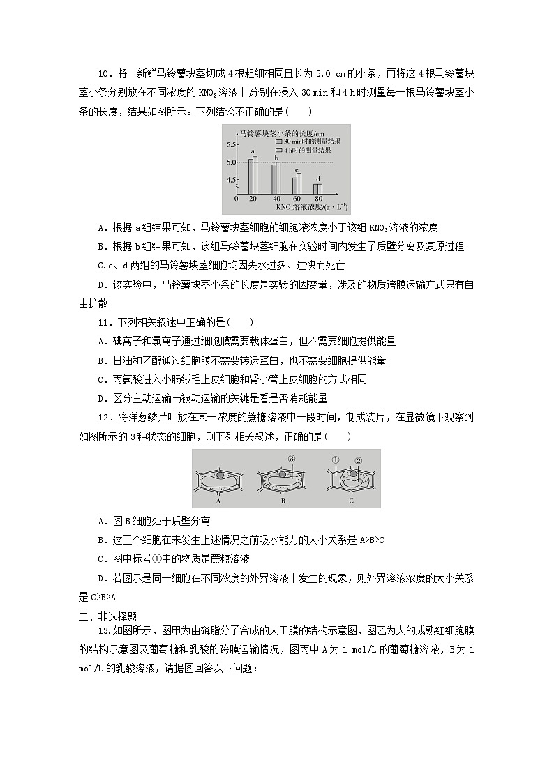 人教版高一生物必修第一册课后练习卷：第4章　细胞的物质输入和输出03
