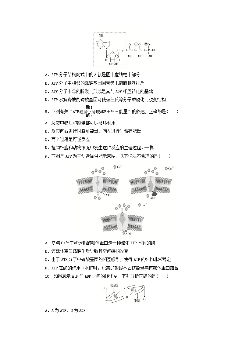人教版高一生物必修第一册课后练习卷：细胞的能量“货币”ATP第2页