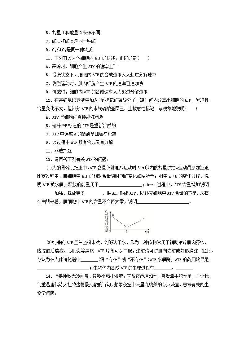 人教版高一生物必修第一册课后练习卷：细胞的能量“货币”ATP第3页