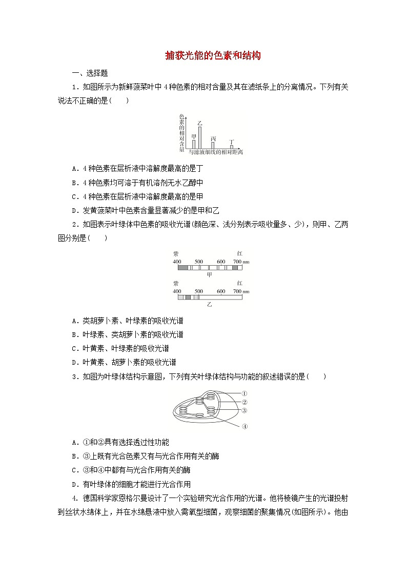 人教版高一生物必修第一册课后练习卷：捕获光能的色素和结构01