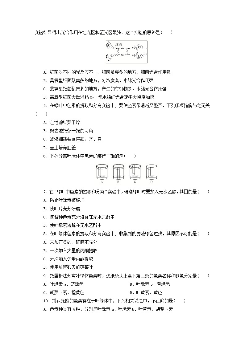 人教版高一生物必修第一册课后练习卷：捕获光能的色素和结构02