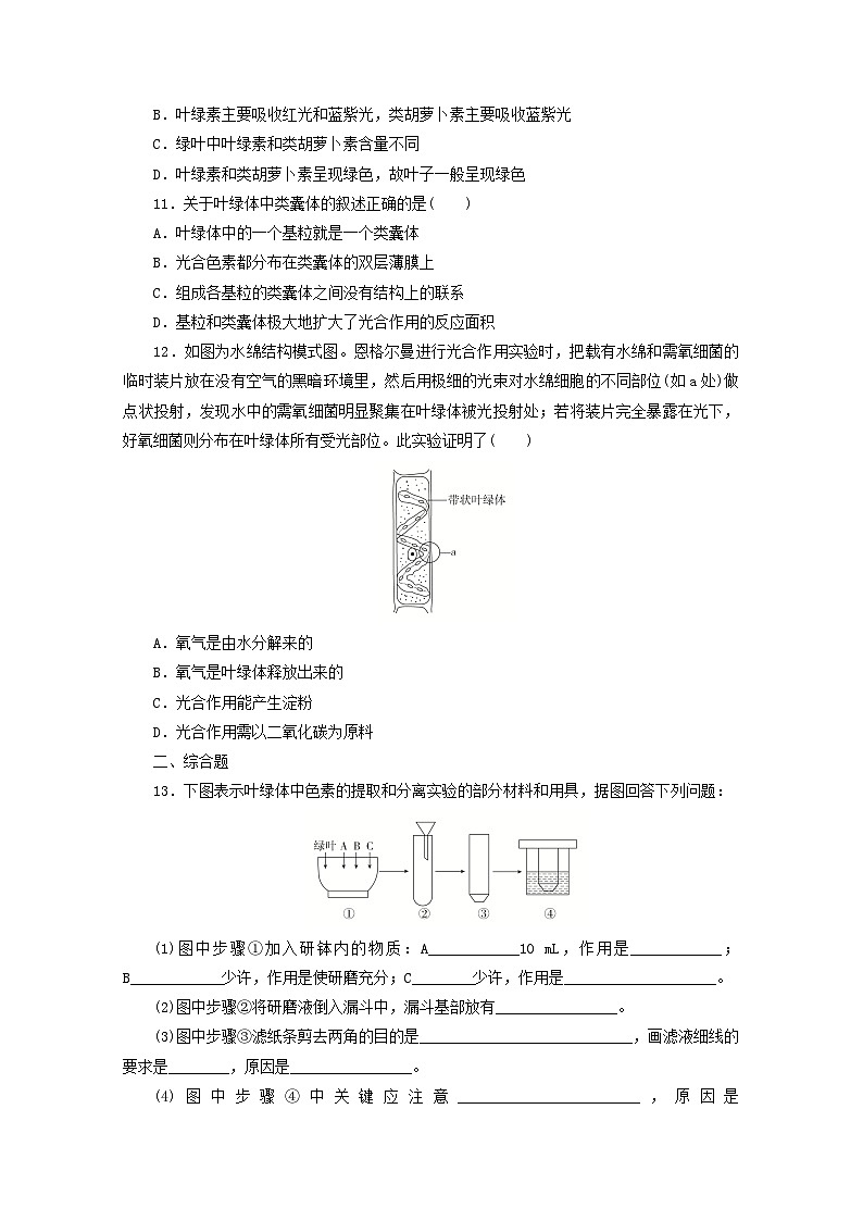 人教版高一生物必修第一册课后练习卷：捕获光能的色素和结构03