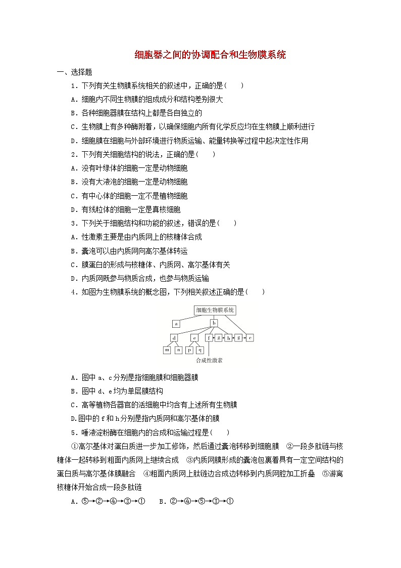 人教版高一生物必修第一册课后练习卷：3.2 细胞器之间的协调配合和生物膜系统01