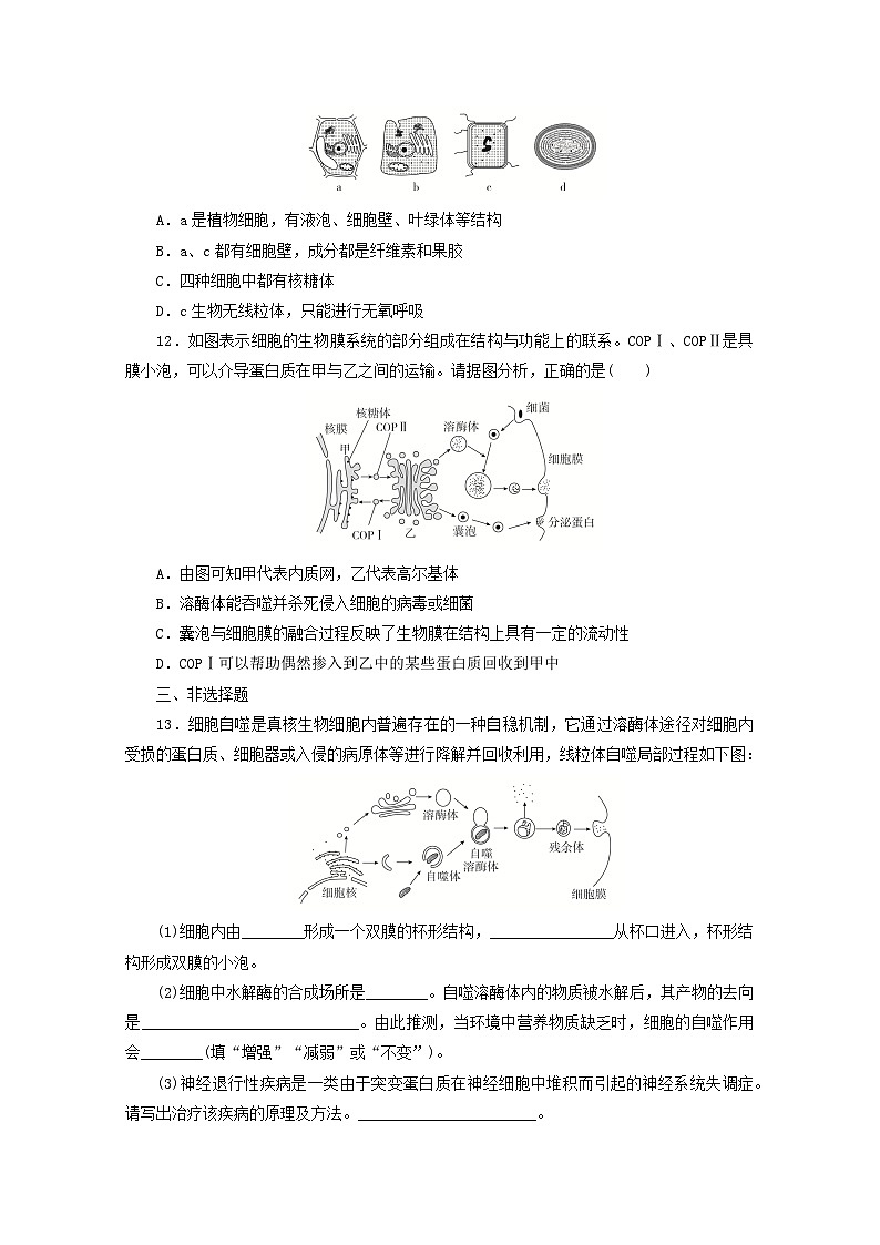 人教版高一生物必修第一册课后练习卷：3.2 细胞器之间的协调配合和生物膜系统03