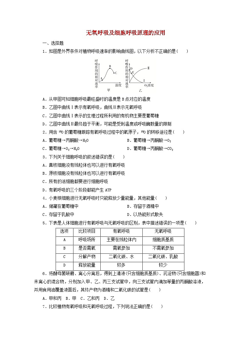 人教版高一生物必修第一册课后练习卷：5.3无氧呼吸及细胞呼吸原理的应用第1页