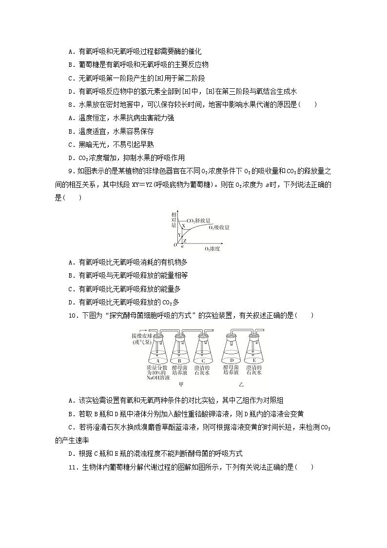 人教版高一生物必修第一册课后练习卷：5.3无氧呼吸及细胞呼吸原理的应用第2页
