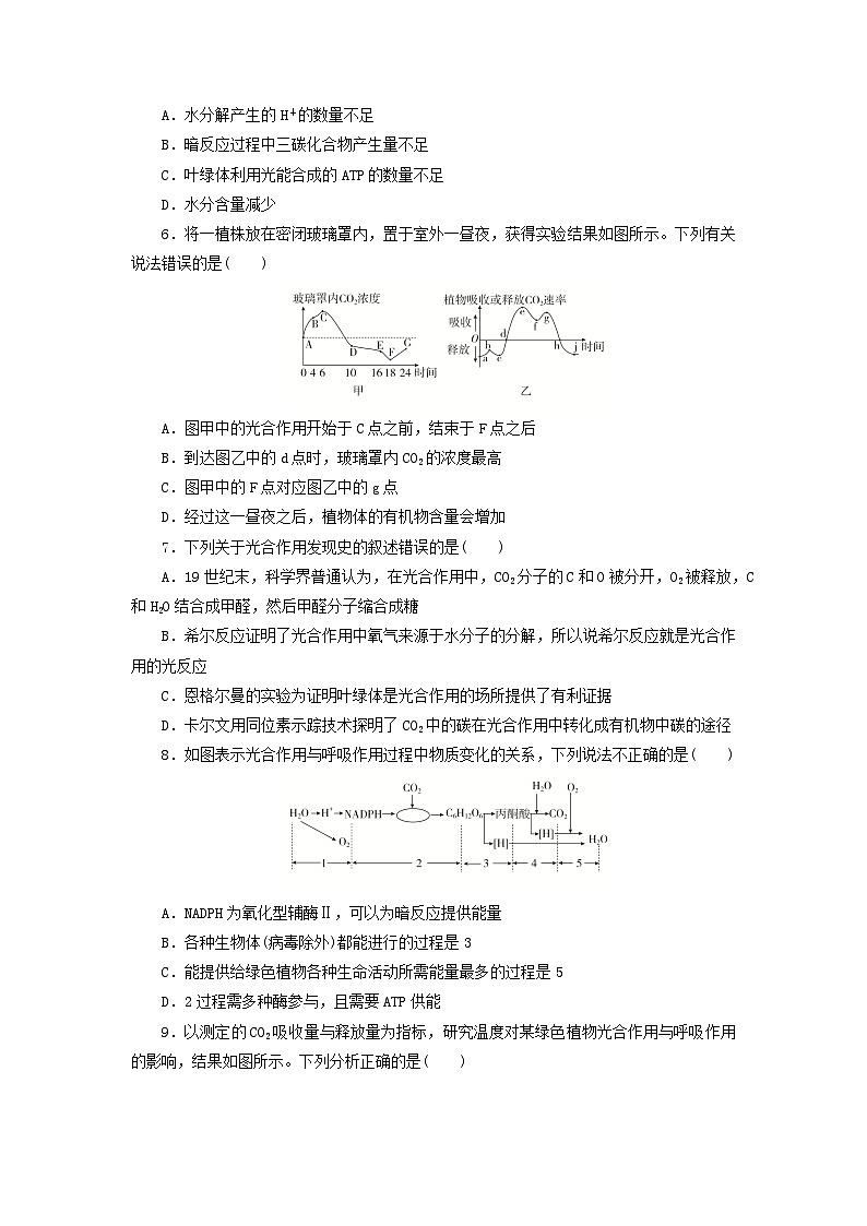人教版高一生物必修第一册课后练习卷：5.4.2光合作用原理的应用02