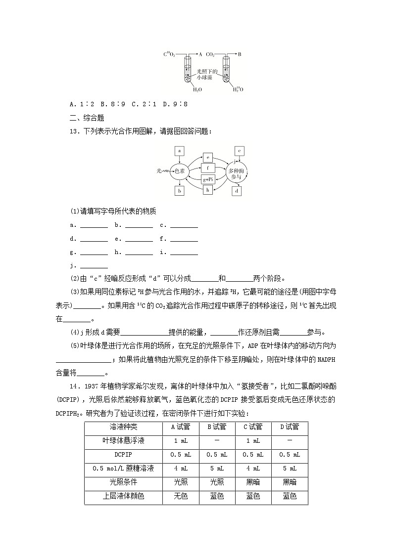 人教版高一生物必修第一册课后练习卷：5.4.2光合作用的原理03