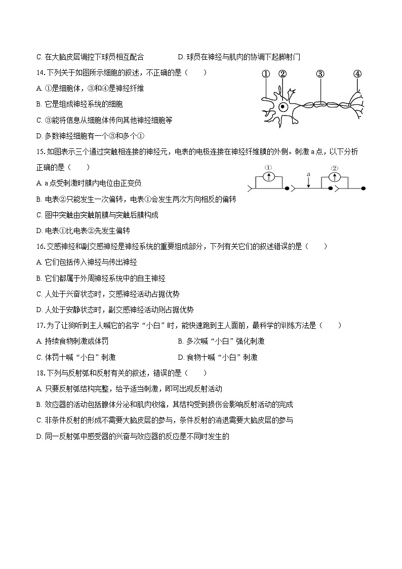 2024-2025学年河北省廊坊第八高级中学高二（上）月考生物试卷（9月份）（含答案）第3页