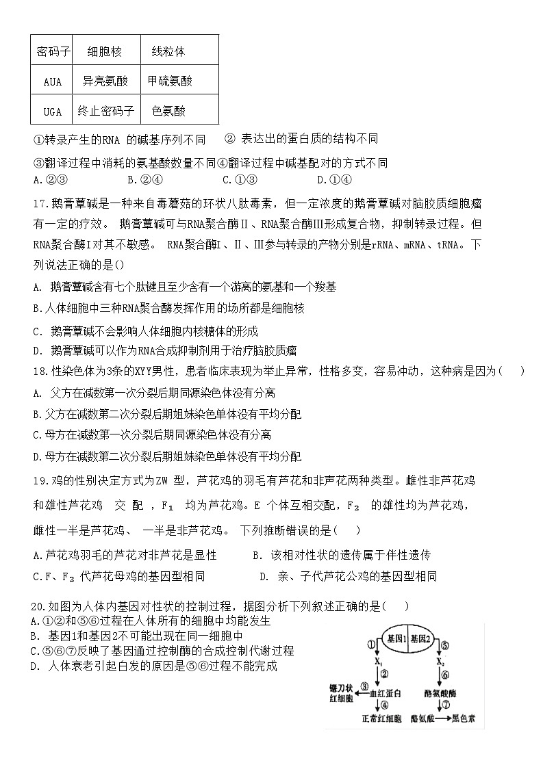 四川省自贡市第一中学校2024-2025学年高二上学期开学考试生物试题03