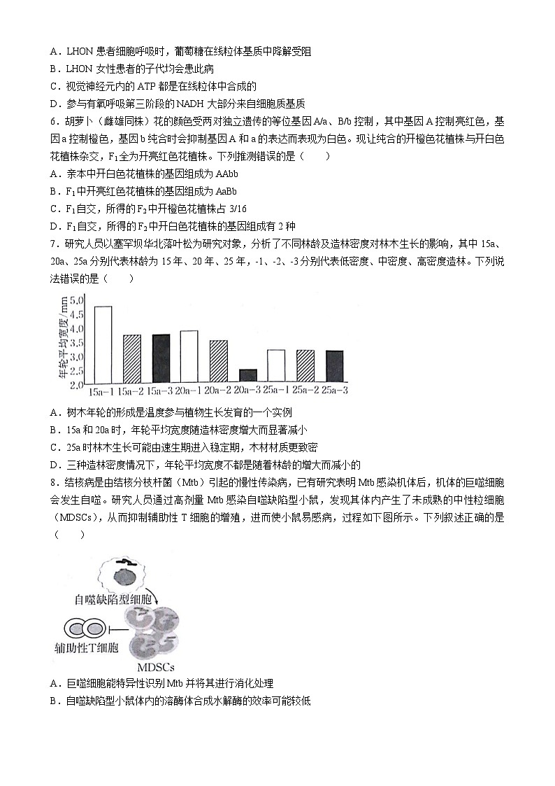 甘肃省白银市靖远县第一中学2024-2025学年高三上学期9月月考生物试题第2页