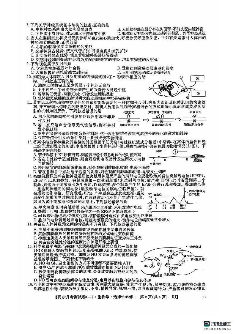 广西壮族自治区百色市2024-2025学年高二上学期9月月考生物试题02