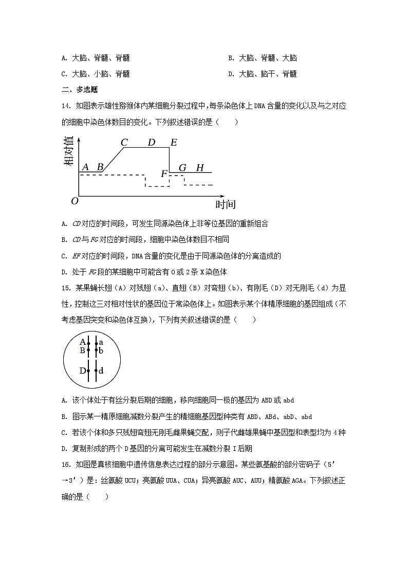 河北省南和县2022_2023学年高二生物上学期开学考试试卷03