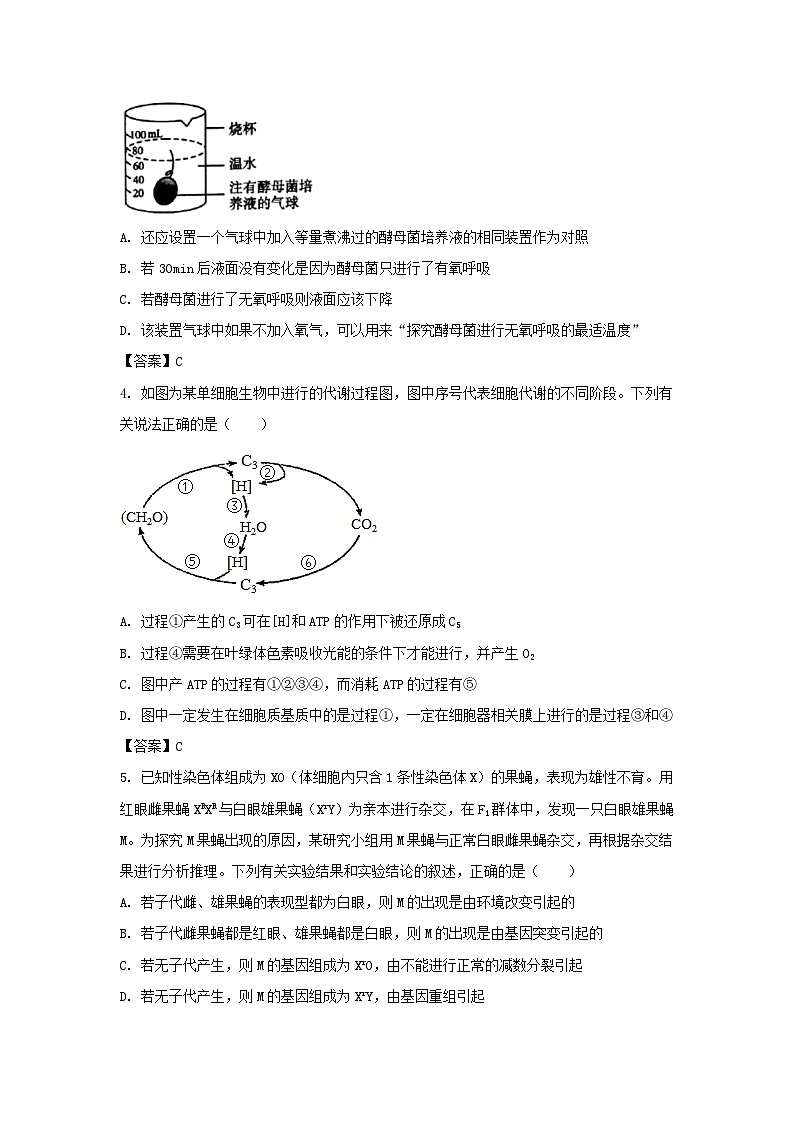 河北省邢台市部分学校2023届高三生物上学期12月月考试卷第2页