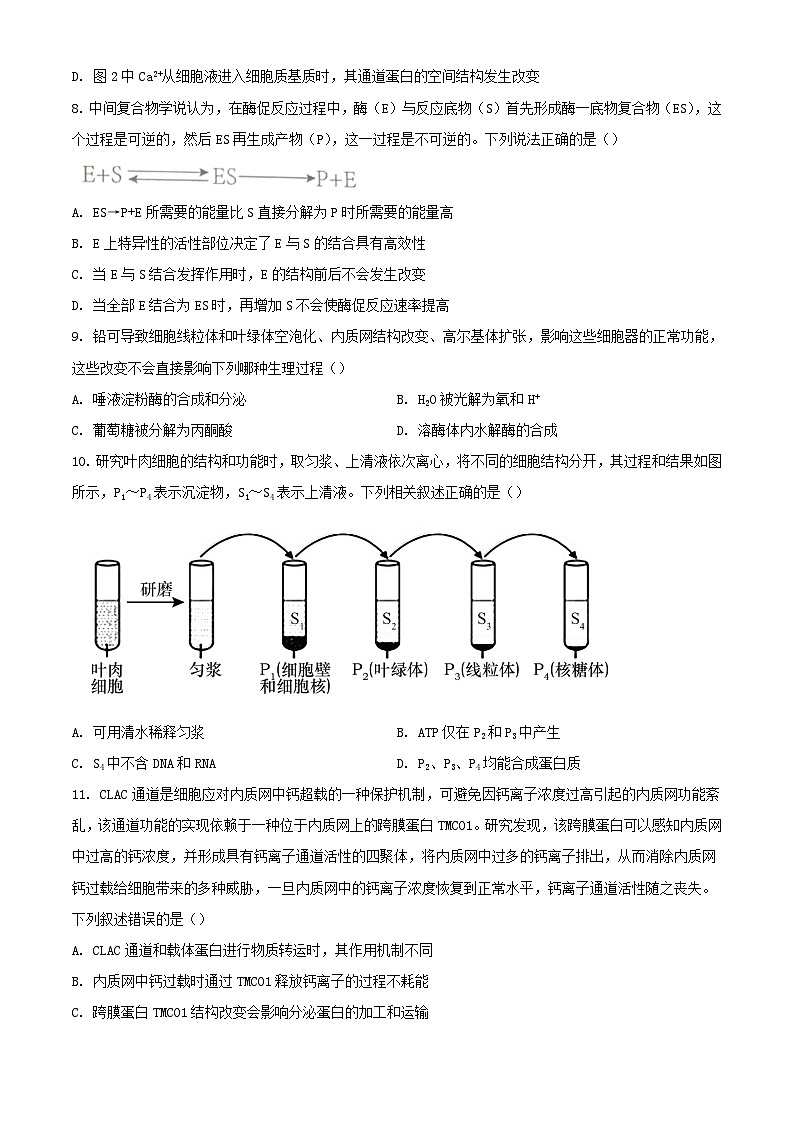 湖北省武汉市江岸区2022_2023学年高一生物上学期期末质量检测试题03