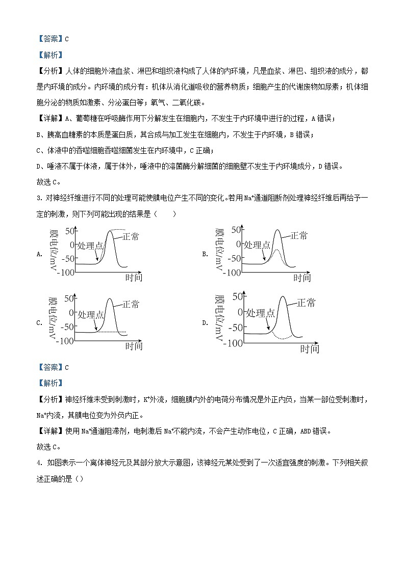 重庆市2023_2024学年高二生物上学期11月模拟考试试题含解析第2页