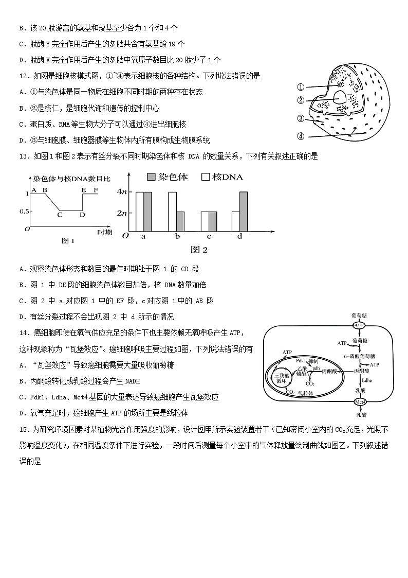 福建省福州市四校教学联盟2023_2024学年高一生物上学期期末学业联考试题第3页