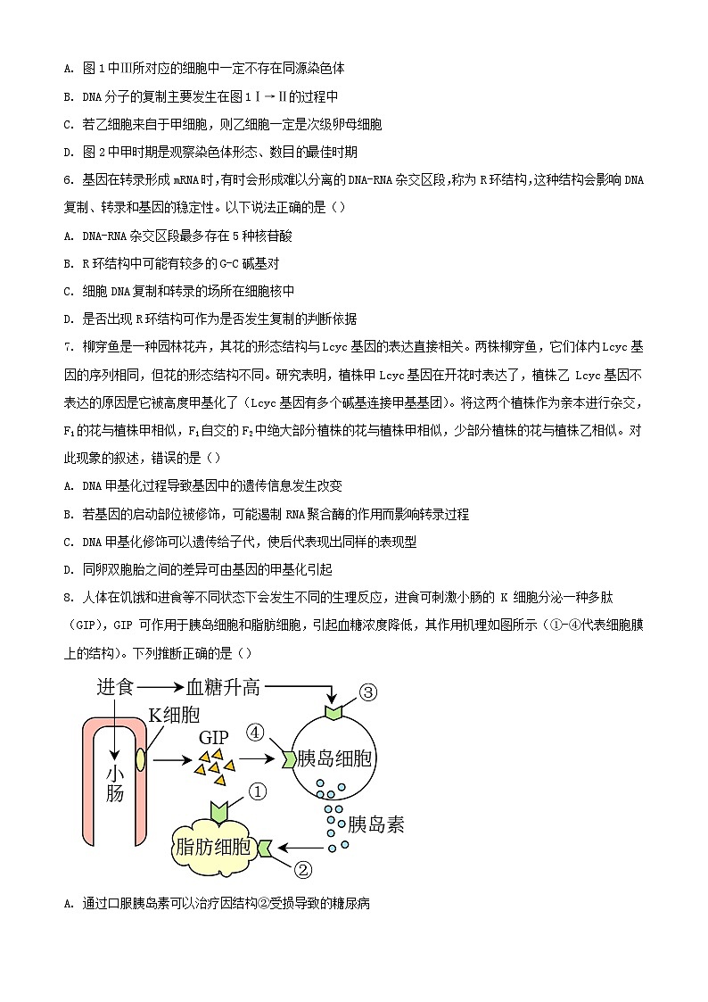 河北省保定市部分高中2023_2024学年高三生物上学期1月期末考试含解析第3页