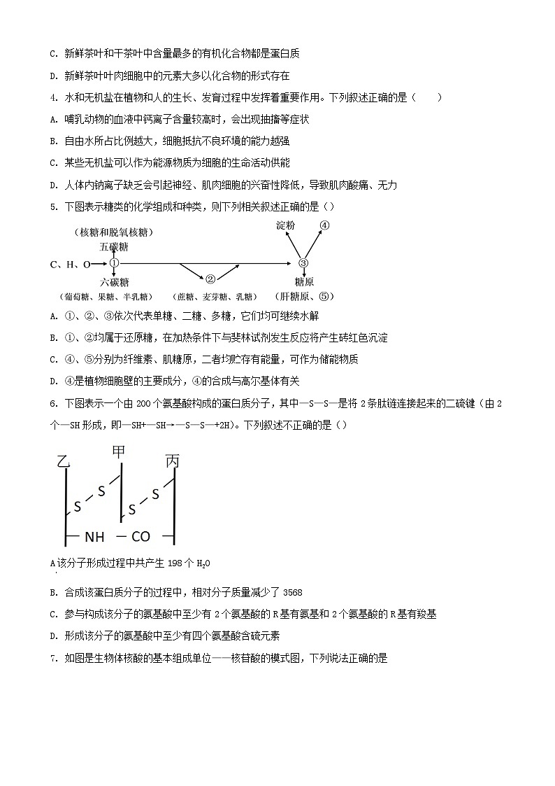 河南省新乡市原阳县2023_2024学年高一生物上学期12月月考试题含解析02