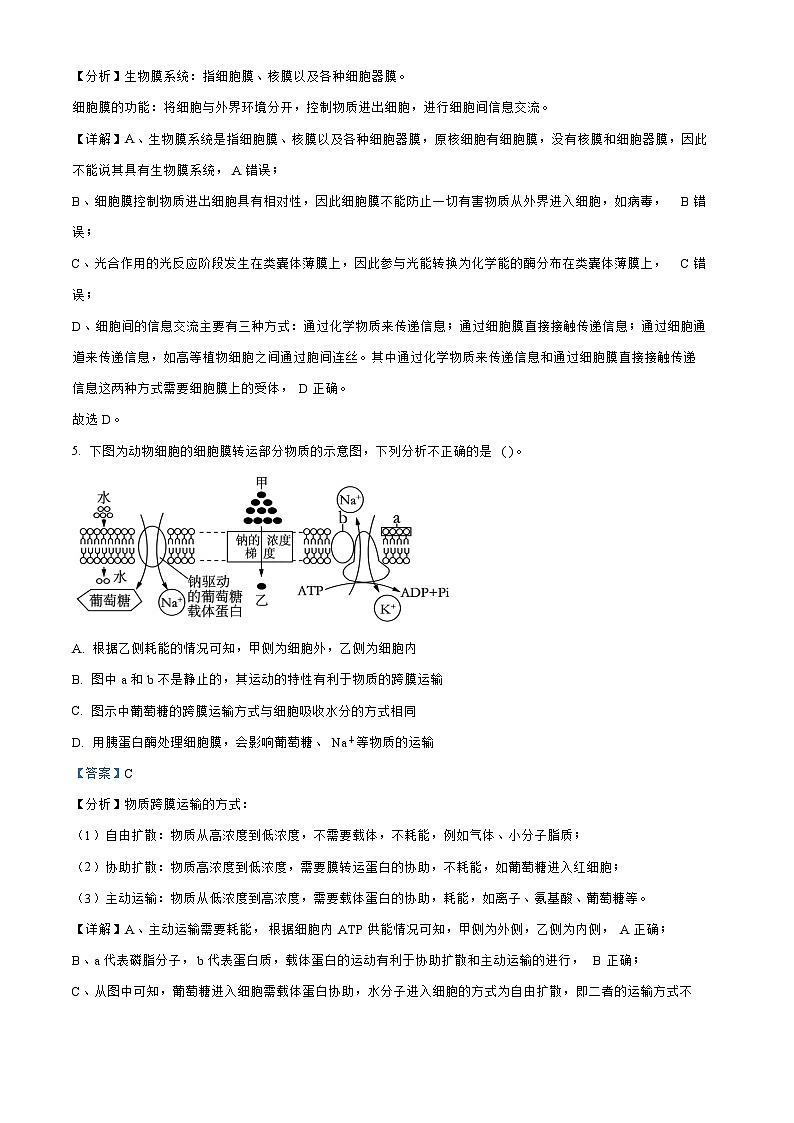 江苏省盐城2023_2024高三生物上学期10月学情调研检测试题第3页
